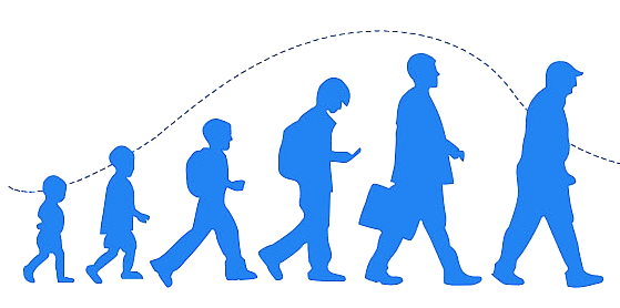 分龄培养 适配成长节奏